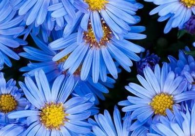 精神追求的名言(通用40句) 精神追求的名言(通用40句)