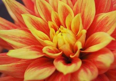 穆里尼奥名言(精选60句) 穆里尼奥名言(精选60句)