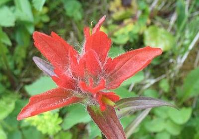 至理名言短句经典(合集100句) 至理名言短句经典(合集100句)