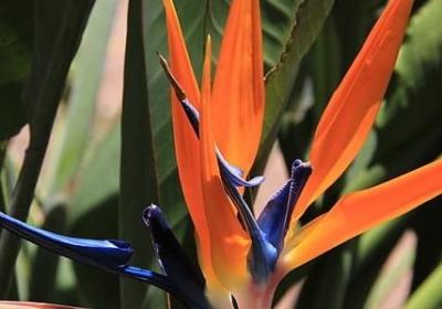 老子关于诚信的名言(汇总20句) 老子关于诚信的名言(汇总20句)