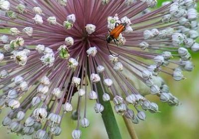 积累的名言名句(优选120句) 积累的名言名句(优选120句)