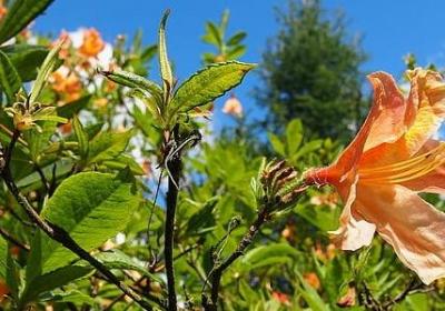 英语的名人名言(必备100句) 英语的名人名言(必备100句)