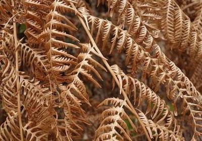 著名的名言名句(必备74句) 著名的名言名句(必备74句)