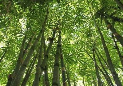 自信心的名言(汇总59句) 自信心的名言(汇总59句)