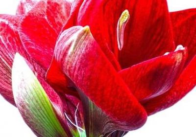 简爱名言名句(合集15句) 简爱名言名句(合集15句)