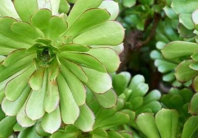 节约用电的名言(共60句) 节约用电的名言(共60句)