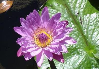 邓布利多名言(共10句) 邓布利多名言(共10句)