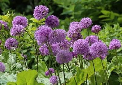 读书有关的名人名言(推荐80句) 读书有关的名人名言(推荐80句)