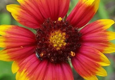 西方爱情名言(必备39句) 西方爱情名言(必备39句)