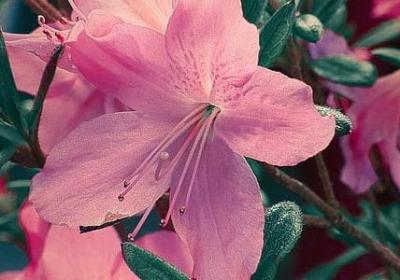 认识自我的名言(通用70句) 认识自我的名言(通用70句)