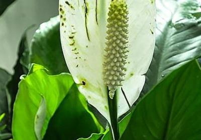 读书励志名言(合集60句)