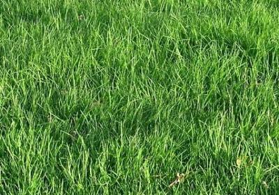 规矩名言(汇总100句)