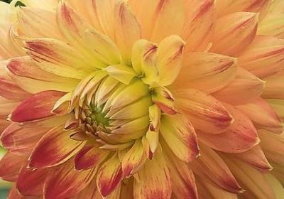 适可而止的名言(合集40句) 适可而止的名言(合集40句)