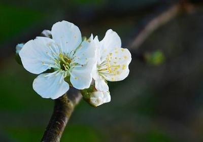 遵纪守法的名言(优选50句) 遵纪守法的名言(优选50句)