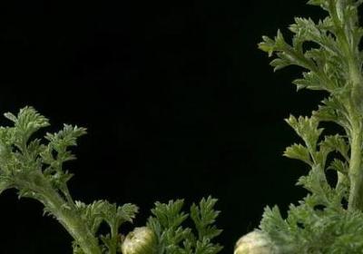 论语中的名言(47句) 论语中的名言(47句)