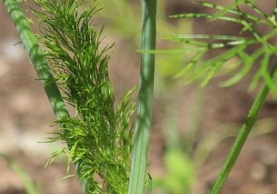 要有目标的名言(精选20句) 要有目标的名言(精选20句)