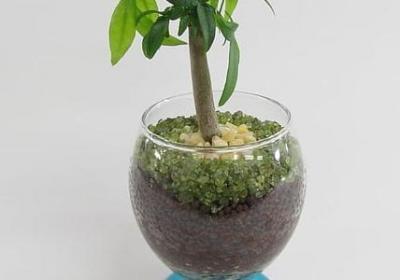 赏识教育名言(热门20句) 赏识教育名言(热门20句)