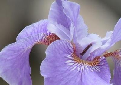 跟学习有关的名言(共60句) 跟学习有关的名言(共60句)