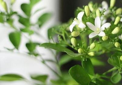 负重前行的名言(推荐60句) 负重前行的名言(推荐60句)