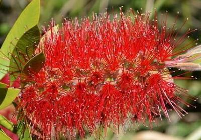 读书名言手抄报图片(精选21句) 读书名言手抄报图片(精选21句)