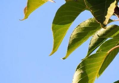 蒙特梭利名言(精选20句) 蒙特梭利名言(精选20句)