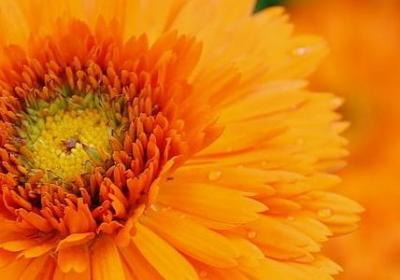 读书手抄报名人名言(共20句) 读书手抄报名人名言(共20句)