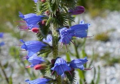 销售名言警句(40句) 销售名言警句(40句)