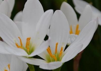 闺蜜经典语录(热门50句)