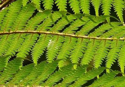 科学家名言名句(实用20句)