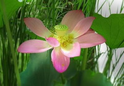 美发经典语录(合集139句)