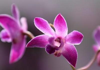 约翰列侬名言(20句) 约翰列侬名言(20句)