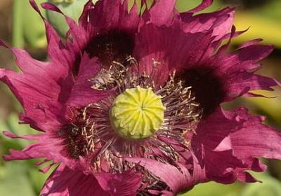 礼仪名言名句(通用120句) 礼仪名言名句(通用120句)