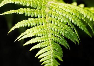 自己的事情自己做名言(合集10句) 自己的事情自己做名言(合集10句)