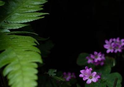 英文名人名言(推荐96句) 英文名人名言(推荐96句)