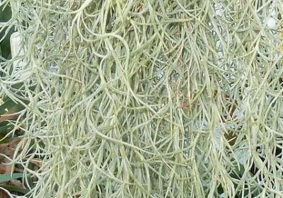 英语名言长句(精选50句) 英语名言长句(精选50句)