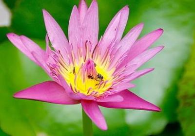 老舍名人名言(共50句)