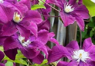 苦难的名人名言(汇总20句) 苦难的名人名言(汇总20句)