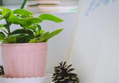 索尔仁尼琴名言(10句) 索尔仁尼琴名言(10句)