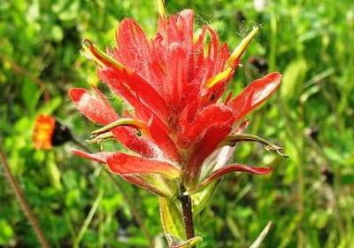 自律自强的名言(40句) 自律自强的名言(40句)