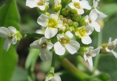 第五人格名言(汇总10句) 第五人格名言(汇总10句)