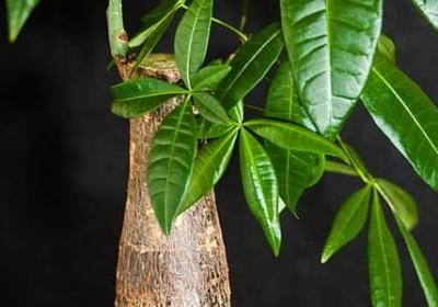 礼仪名人名言(推荐21句) 礼仪名人名言(推荐21句)