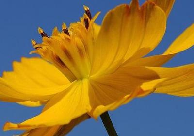 英雄联盟名言(通用60句) 英雄联盟名言(通用60句)