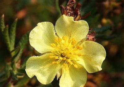 篮球明星的名言(实用48句) 篮球明星的名言(实用48句)