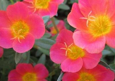 老子名言精选(必备20句)