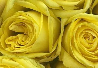 钢铁是怎样炼成的的名言(优选10句)