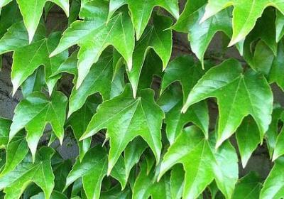 行动名言(汇总157句) 行动名言(汇总157句)