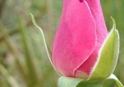 追求梦想的名人名言(合集96句) 追求梦想的名人名言(合集96句)