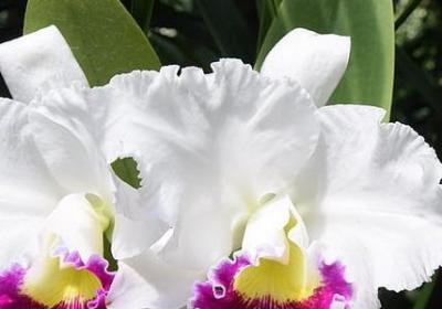 读书名言警句(共82句) 读书名言警句(共82句)