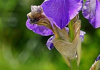 赞美诚信的名言(热门80句) 赞美诚信的名言(热门80句)