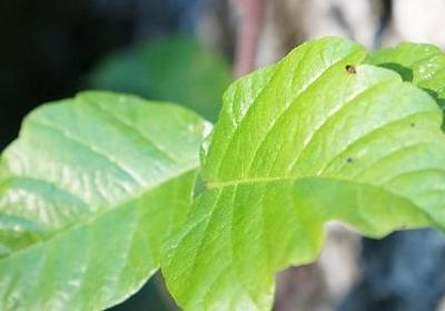 责任与担当名言(共20句) 责任与担当名言(共20句)